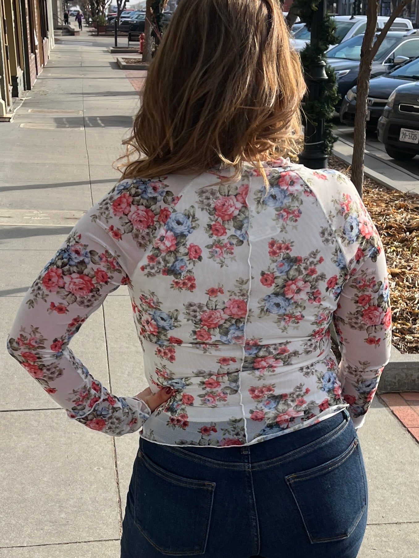 Mesh Floral Long Sleeve